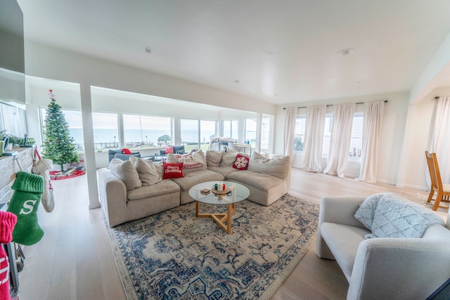 living room featuring light wood-type flooring and a water view