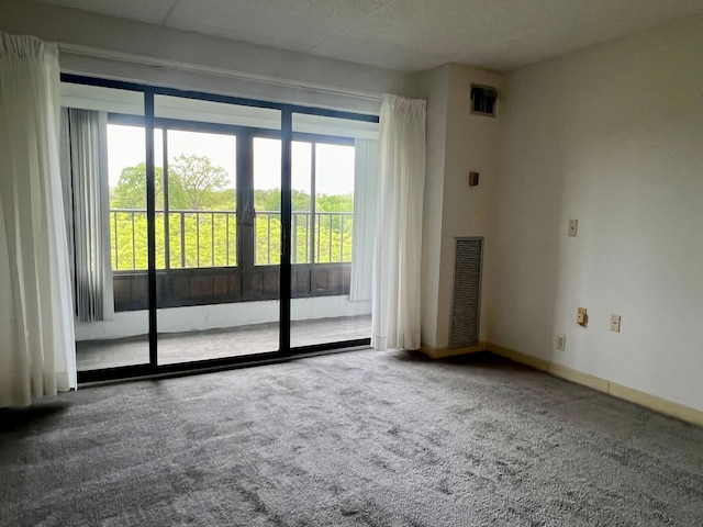 unfurnished room with carpet flooring and a textured ceiling