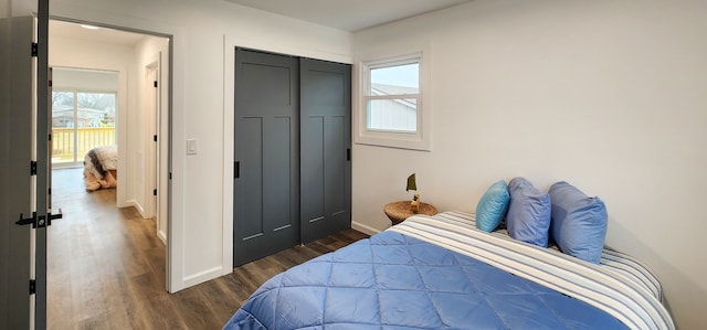 bedroom with a closet and dark wood-type flooring