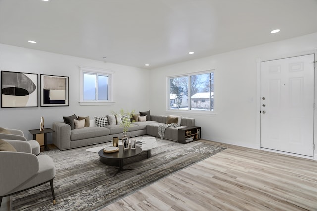 living room with light hardwood / wood-style flooring