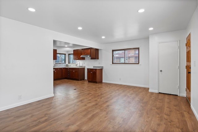 kitchen with plenty of natural light, wood-type flooring, and sink