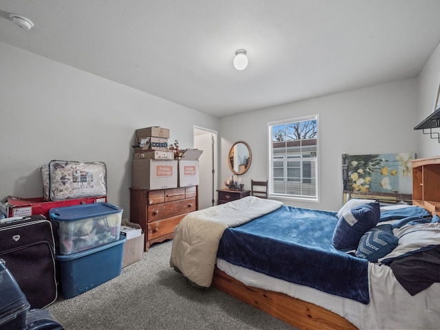 bedroom with carpet floors