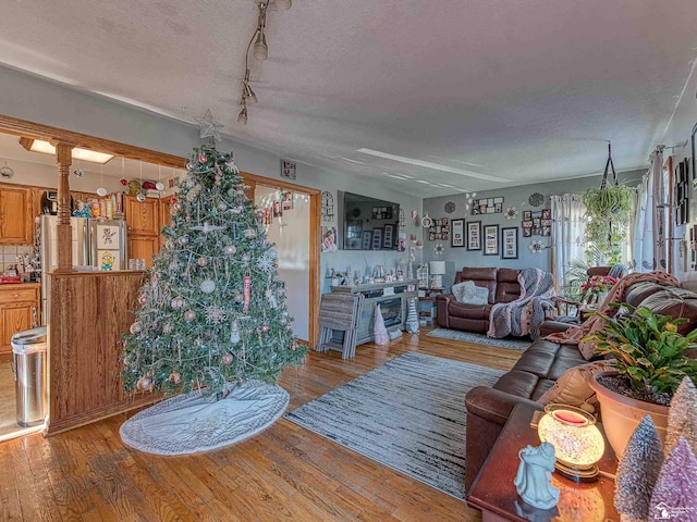 living room with a textured ceiling and hardwood / wood-style flooring