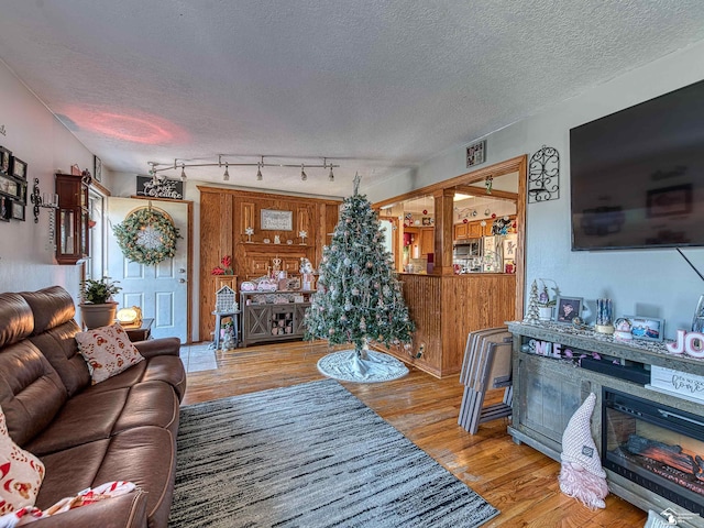 living room featuring a textured ceiling and hardwood / wood-style flooring