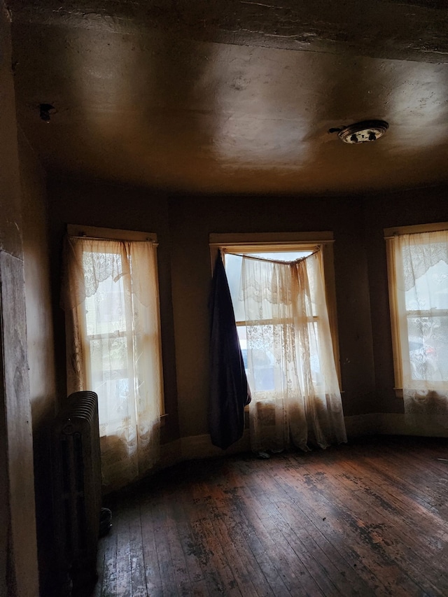 interior space featuring dark hardwood / wood-style floors and radiator