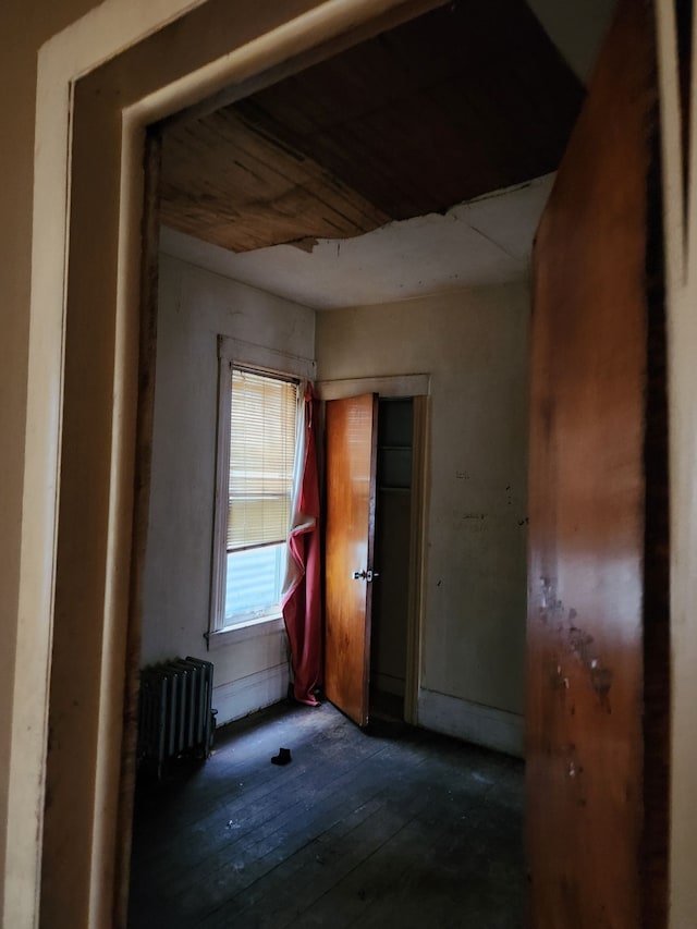 miscellaneous room with radiator and dark hardwood / wood-style flooring