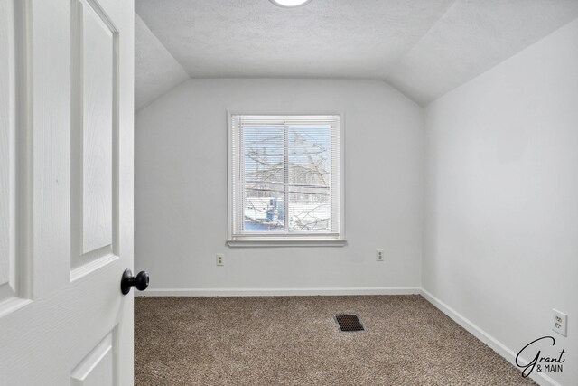 additional living space with carpet flooring, lofted ceiling, and a textured ceiling