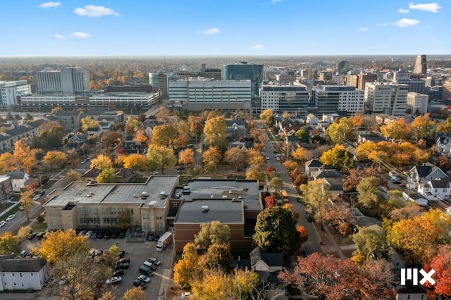 bird's eye view