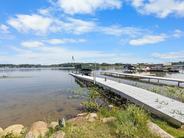 dock area with a water view