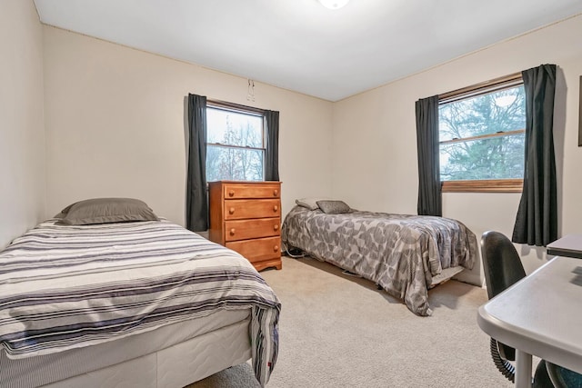 bedroom featuring carpet floors