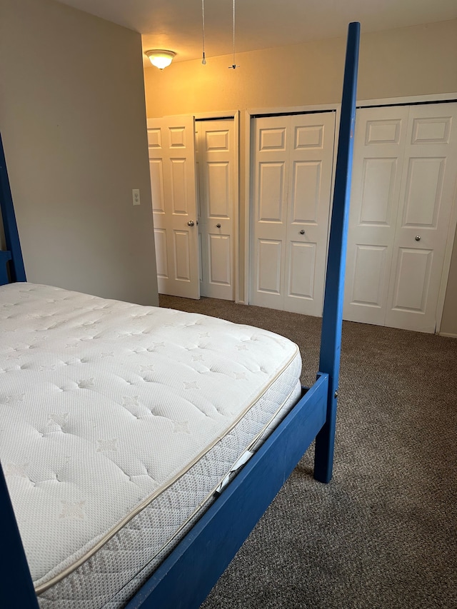 bedroom with carpet flooring and multiple closets