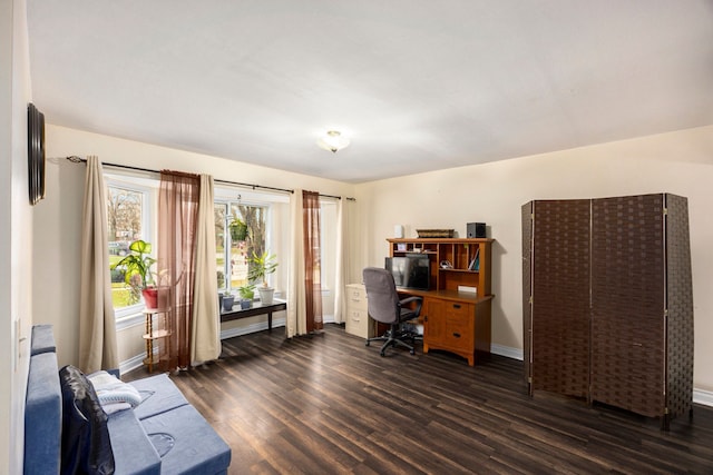 office space with dark hardwood / wood-style flooring