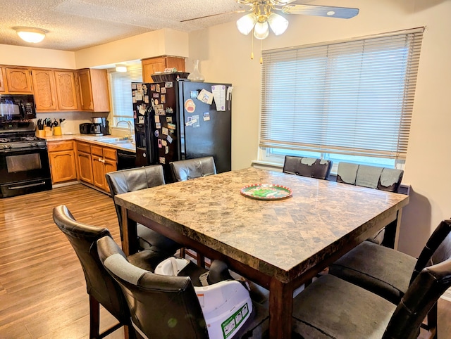 dining area featuring a textured ceiling, ceiling fan, sink, and light hardwood / wood-style flooring