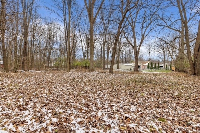 view of yard covered in snow