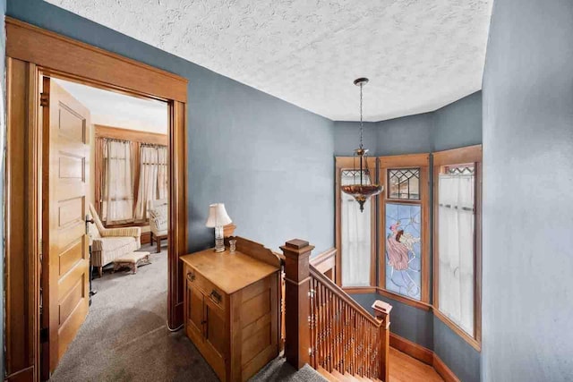 interior space with carpet flooring, a healthy amount of sunlight, and a textured ceiling