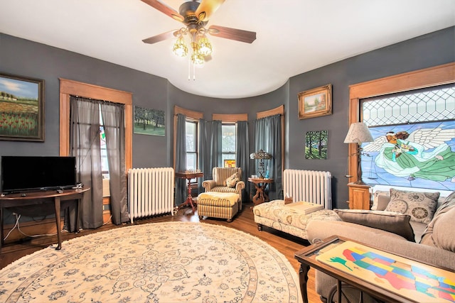 living room with ceiling fan, radiator heating unit, and wood-type flooring