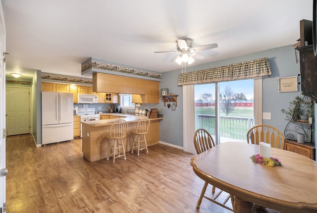 dining area with light hardwood / wood-style floors and ceiling fan