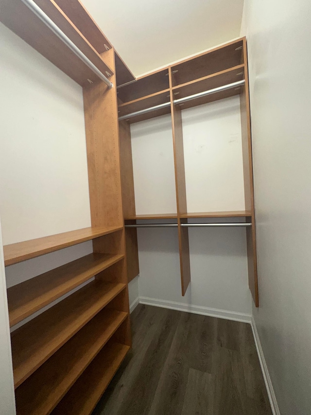 spacious closet featuring dark hardwood / wood-style flooring