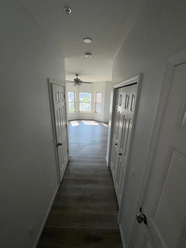 hall featuring dark wood-type flooring