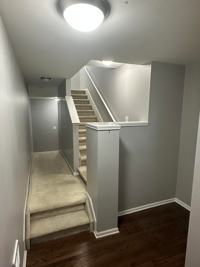 staircase with wood-type flooring