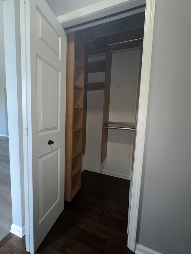 walk in closet featuring dark hardwood / wood-style flooring