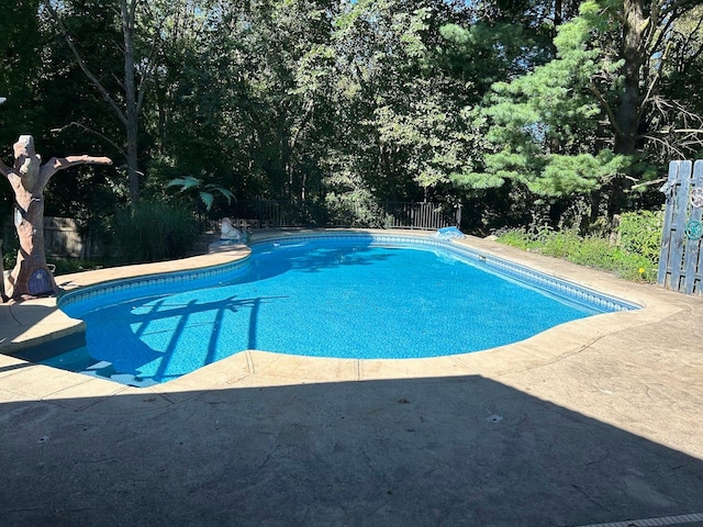 view of swimming pool