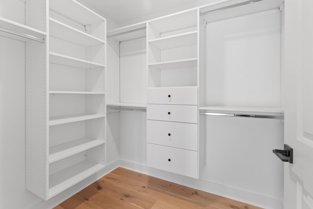 spacious closet with light hardwood / wood-style flooring