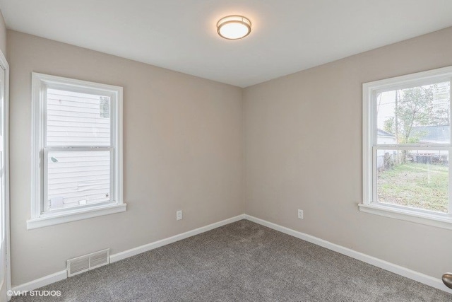 empty room with carpet and a wealth of natural light