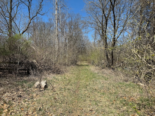 view of nature