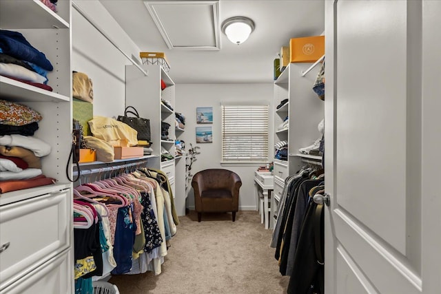 walk in closet featuring light colored carpet