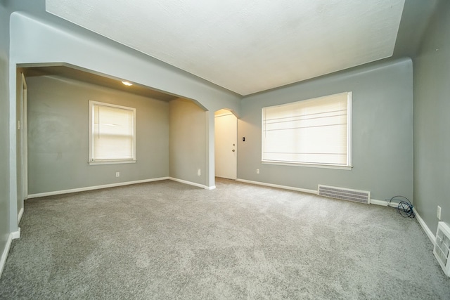 carpeted empty room with a wealth of natural light