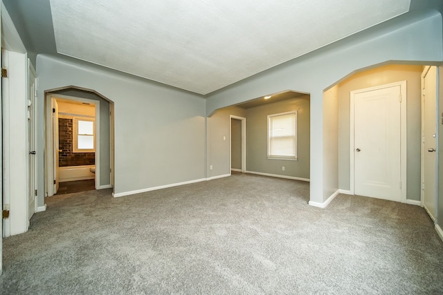 interior space featuring multiple windows, carpet, and ensuite bath