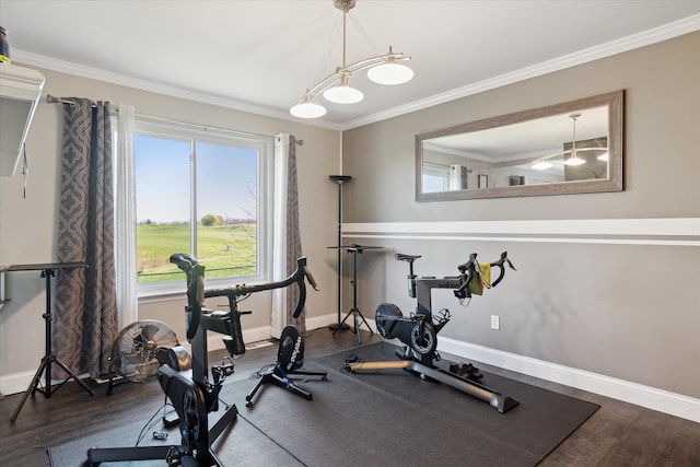 exercise area featuring ornamental molding, baseboards, and wood finished floors