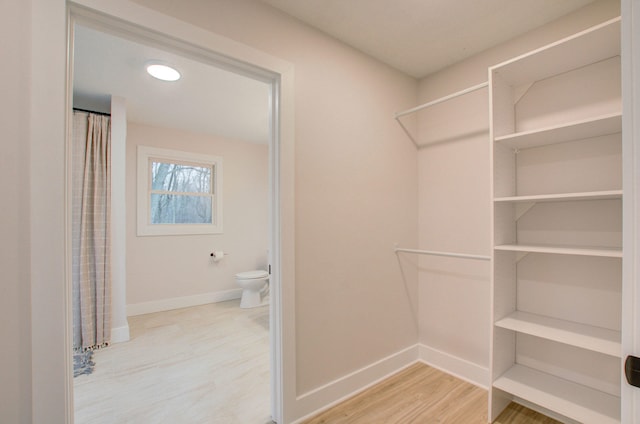 spacious closet with wood-type flooring