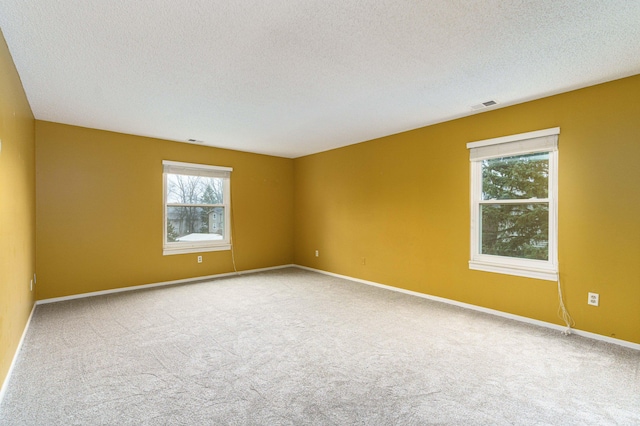 unfurnished room with light carpet and a textured ceiling