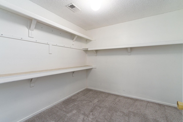 spacious closet with carpet flooring