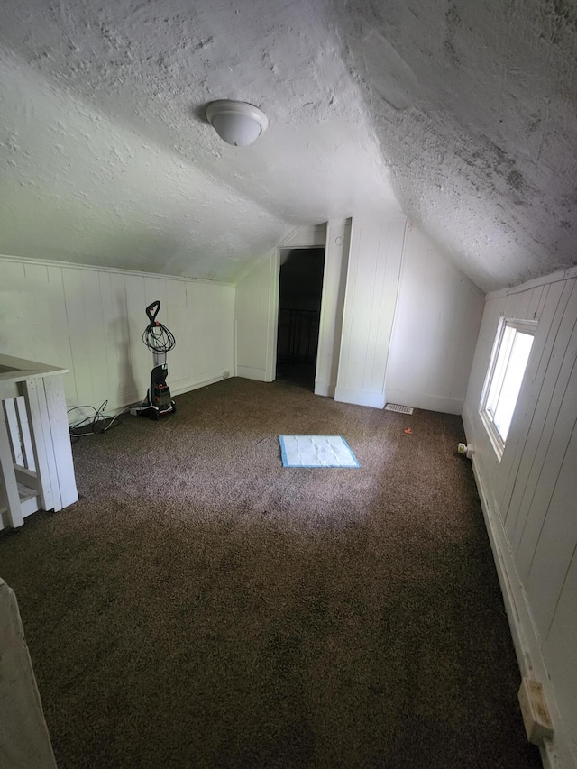 additional living space with a textured ceiling, lofted ceiling, and carpet floors