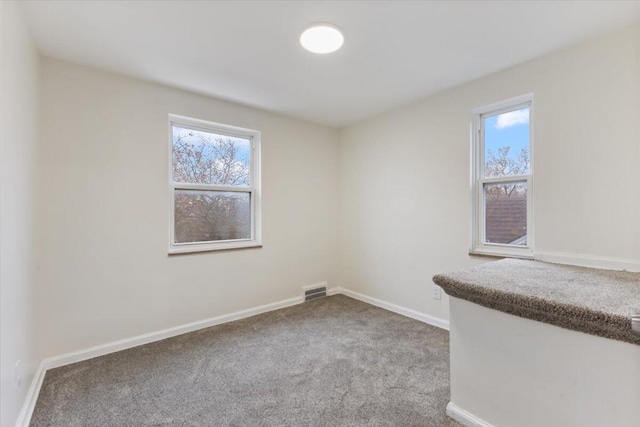 11059 Lakepointe St, Detroit, MI 48224 - empty room with carpet flooring and plenty of natural light