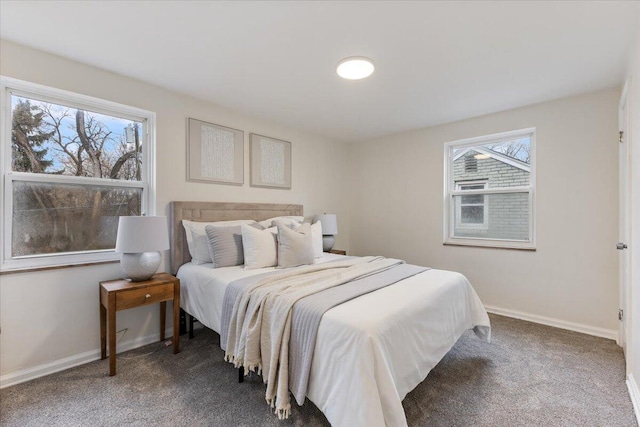 11059 Lakepointe St, Detroit, MI 48224 - bedroom with multiple windows and dark carpet