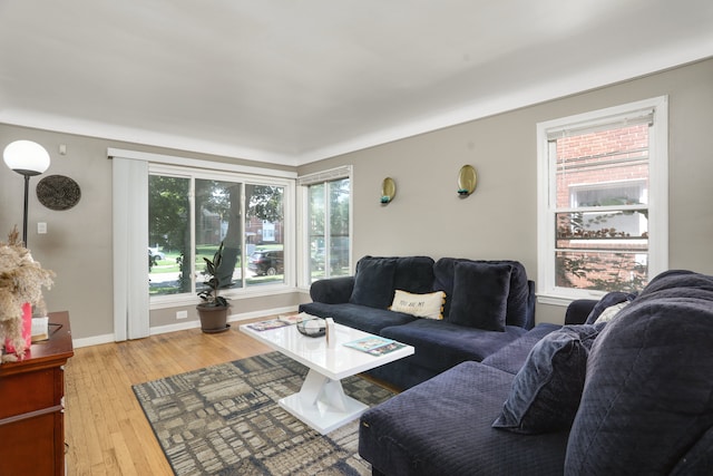 living room with hardwood / wood-style flooring and a wealth of natural light