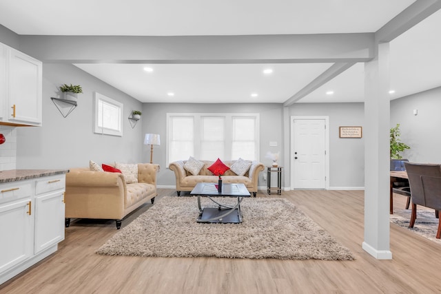 living room with light hardwood / wood-style floors