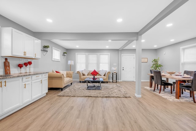 living room with plenty of natural light and light hardwood / wood-style floors