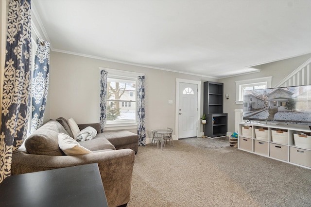 carpeted living room with crown molding