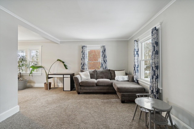 carpeted living room with ornamental molding and a wealth of natural light