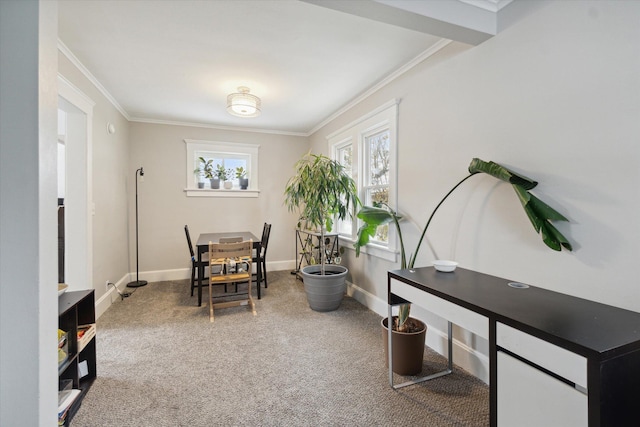 carpeted office space with plenty of natural light and crown molding