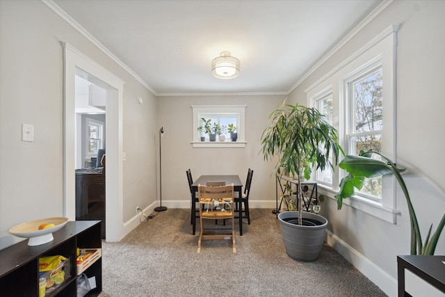 carpeted dining room with a healthy amount of sunlight and crown molding