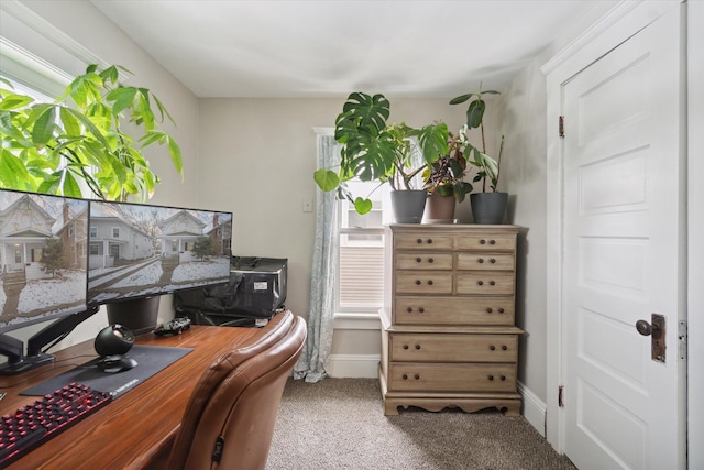 office featuring carpet floors