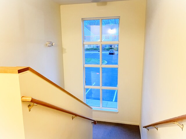 stairway featuring carpet floors