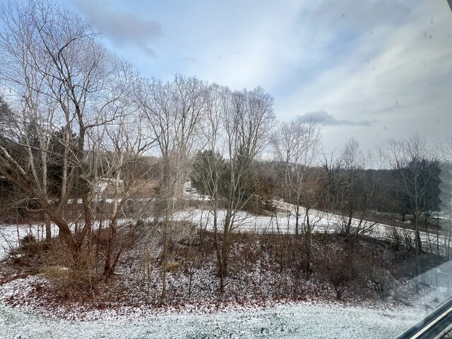 view of snowy landscape