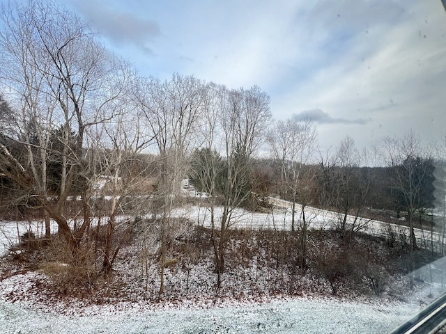 view of snowy landscape